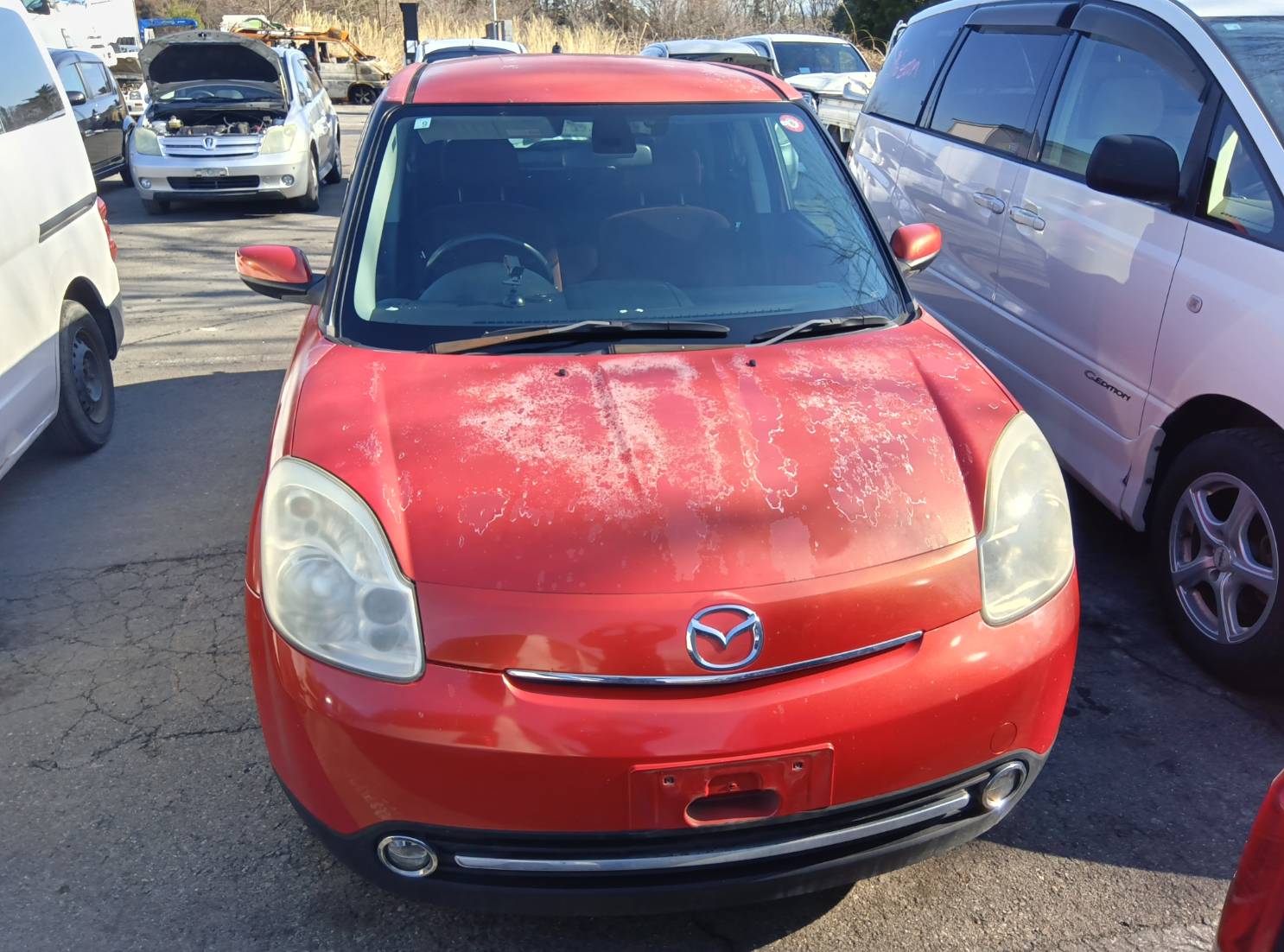 マツダベリーサ平成19年式(2007年式)山梨県北杜市の買取実績2025/09/12画像1