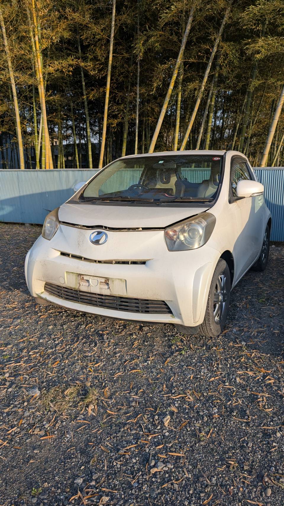 トヨタｉＱ平成22年式(2010年式)群馬県館林市の買取実績2025/10/22画像1