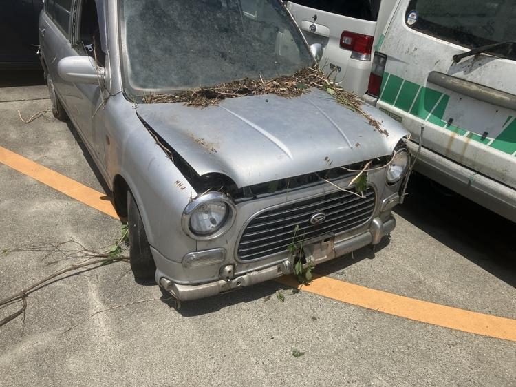 ダイハツミラジーノ不明式(年式)鹿児島県日置市の買取実績2025/10/27画像1