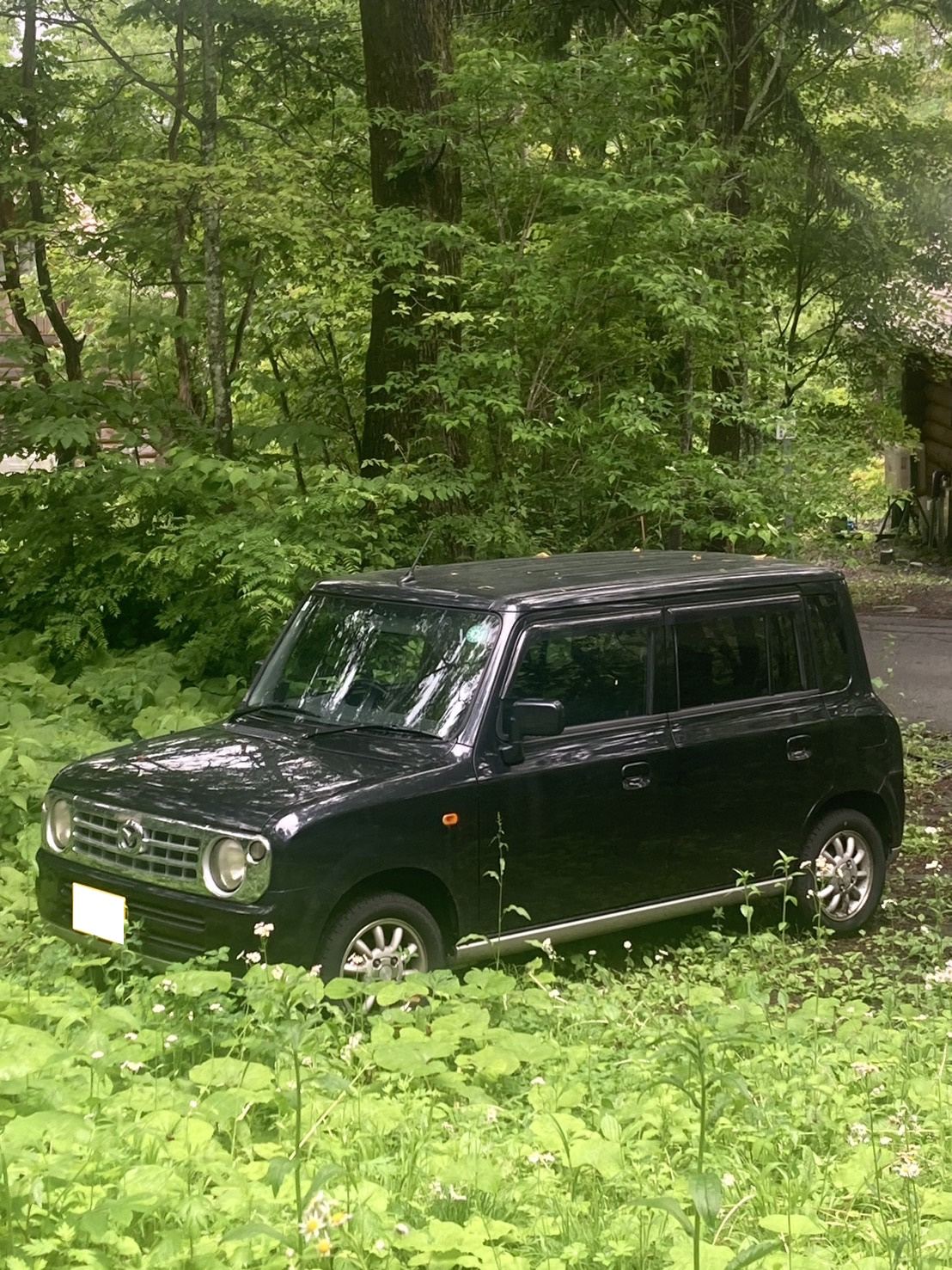 マツダスピアーノ平成20年式(2008年式)長野県長野市の買取実績2025/11/04画像1