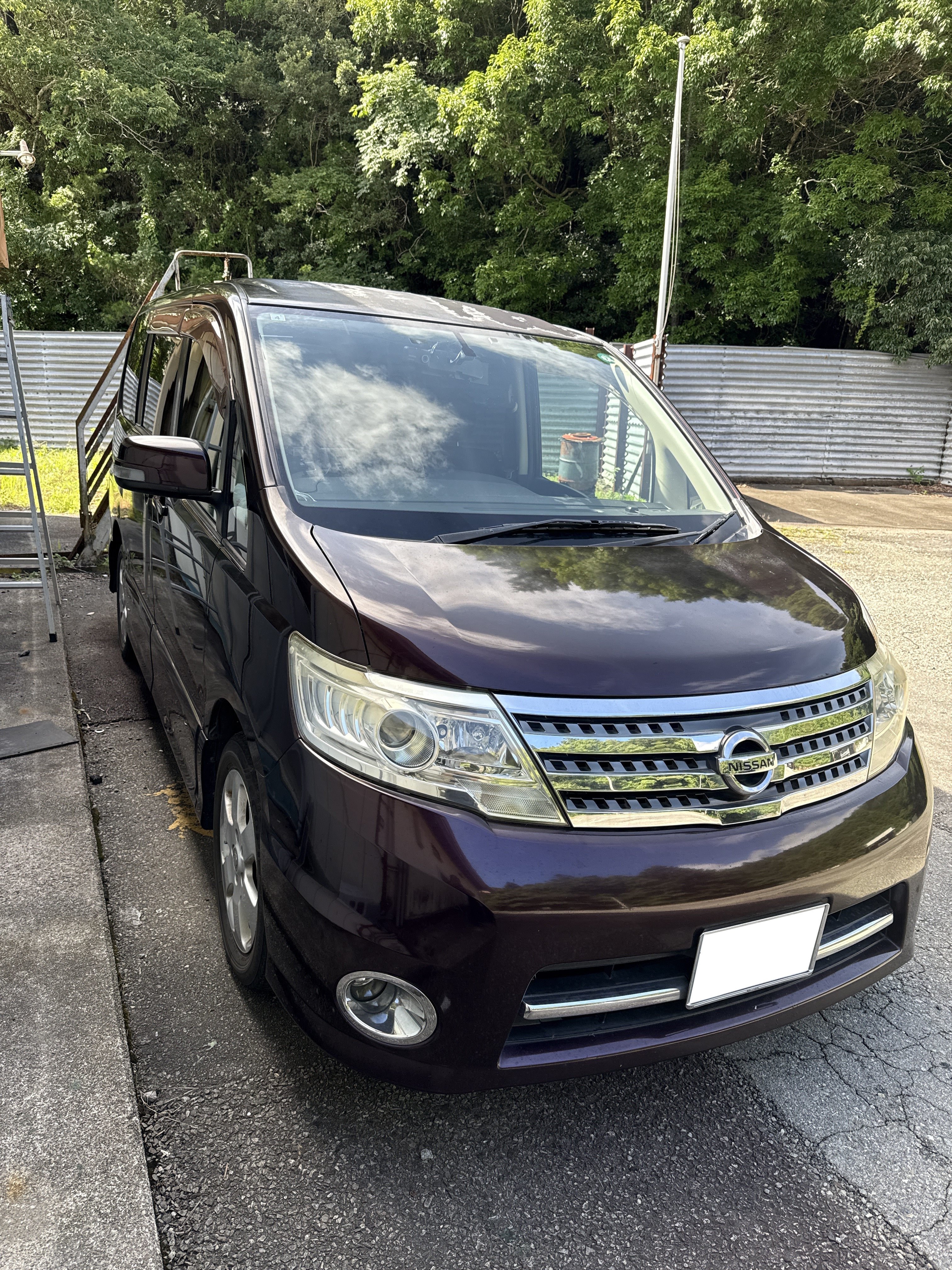 ニッサンセレナ平成21年式(2009年式)徳島県海部郡 美波町の買取実績2025/11/04画像1