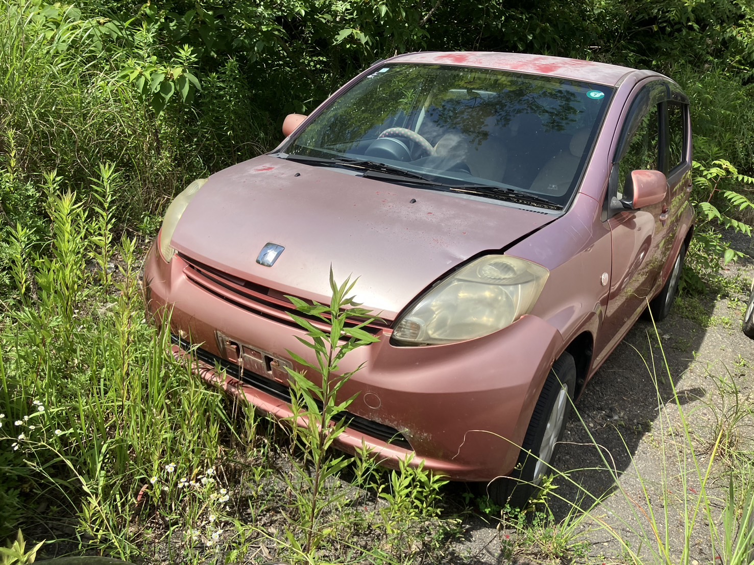トヨタパッソ不明式(年式)高知県四万十市の買取実績2025/11/04画像1
