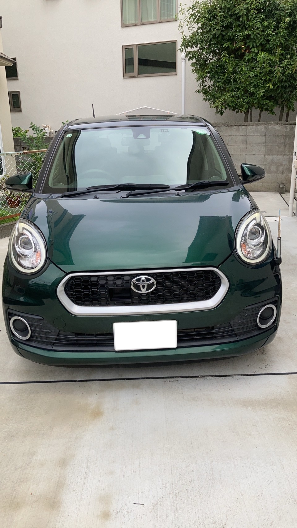 トヨタパッソ平成28年式(2016年式)神奈川県茅ヶ崎市の買取実績2026/01/23画像1