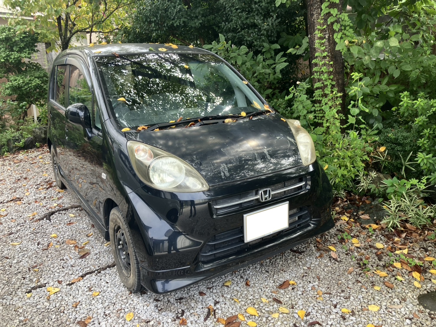 ホンダライフ平成18年式(2006年式)鳥取県鳥取市の買取実績2026/01/23画像1