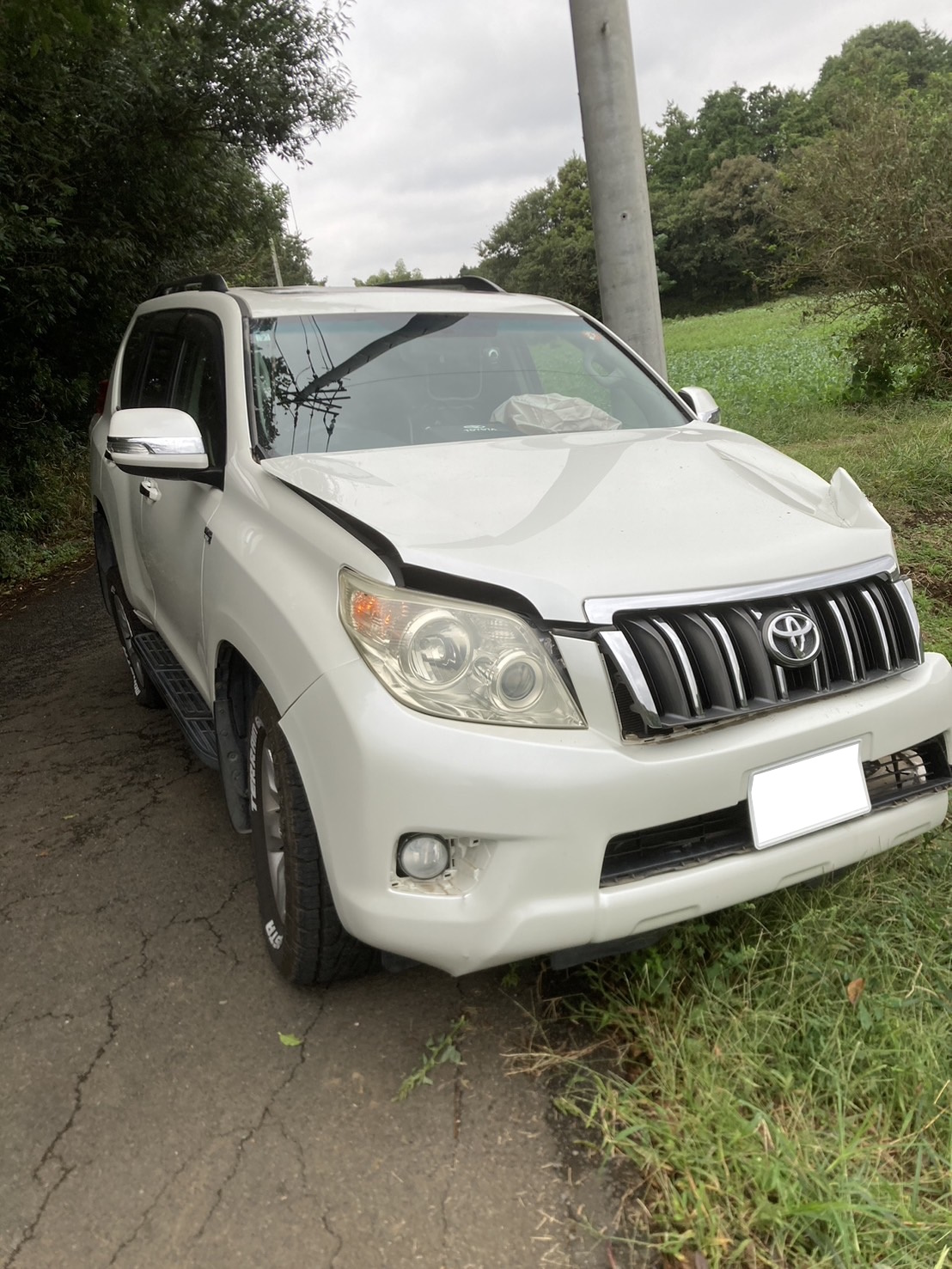 トヨタランドクルーザープラド平成25年式(2013年式)茨城県笠間市の買取実績2026/02/05画像1