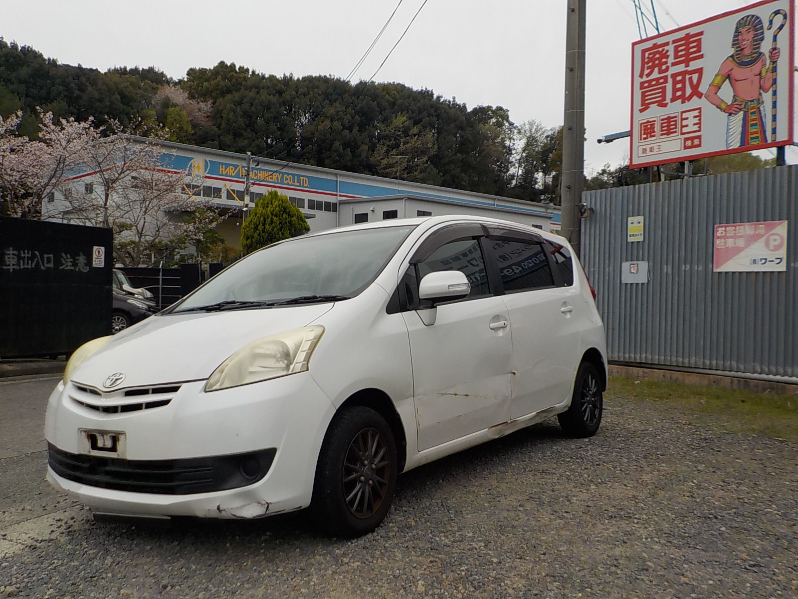 トヨタパッソセッテの買取実績